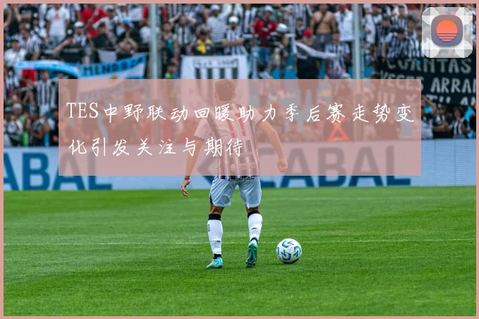 TES中野联动回暖助力季后赛走势变化引发关注与期待